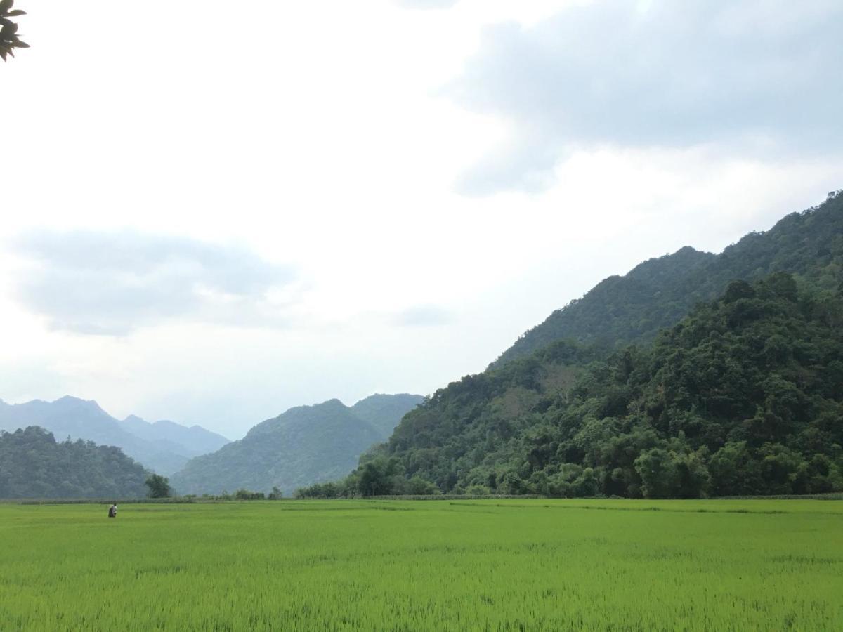 Hoang Quan Homestay Ba Be Eksteriør billede